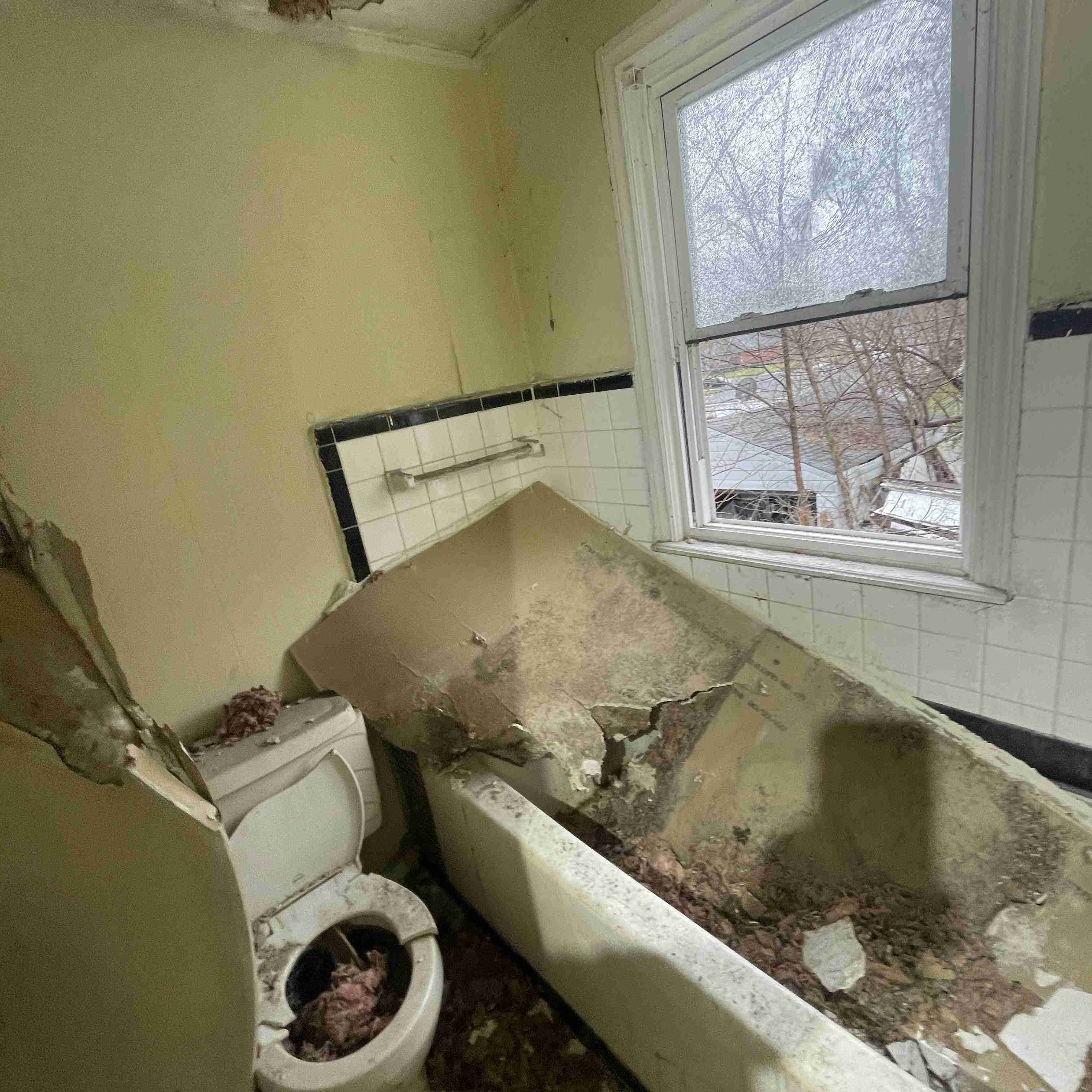 20015 Schoenherr (50).jpg